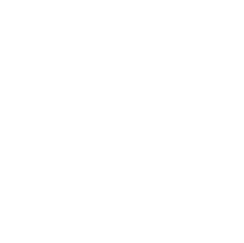 veteran owned construction company emblem